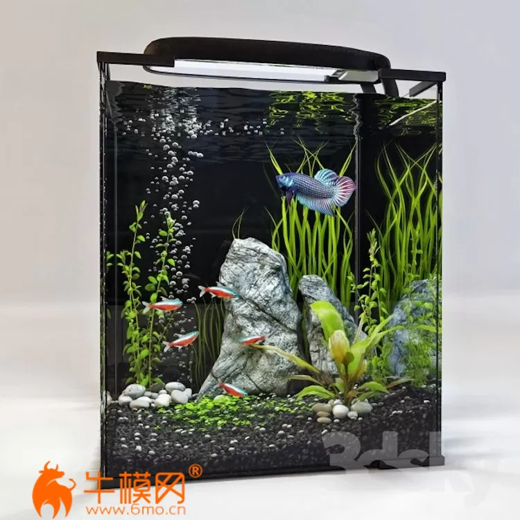 aquarium – 1008 aquarium – 1008