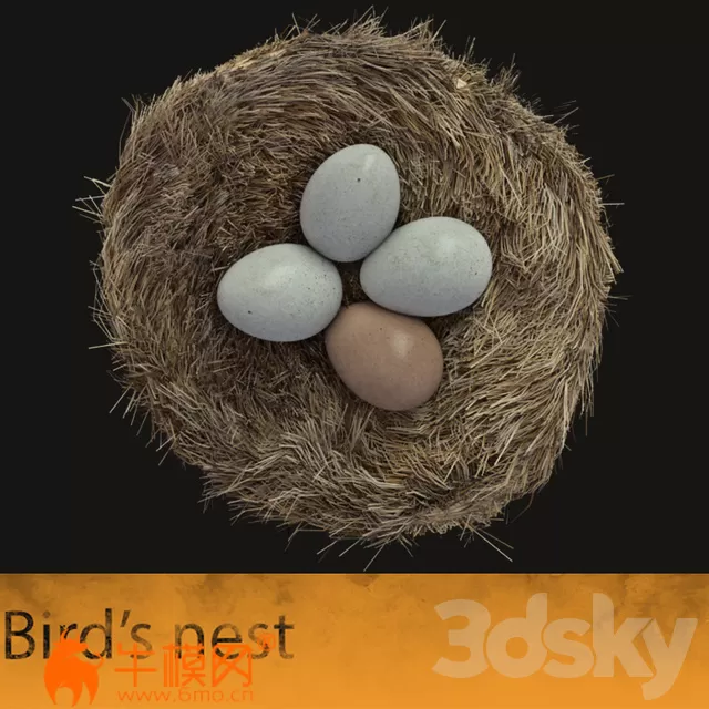 Bird’s nest – 1166 Bird’s nest – 1166