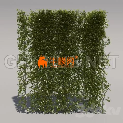 Bush trimmed, high – 1273