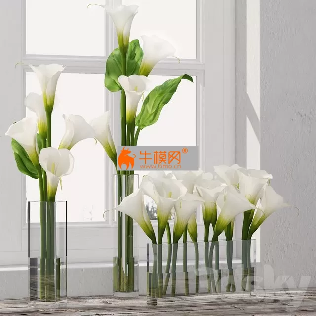 Calla Lily 5 (2011, fbx) – 1297