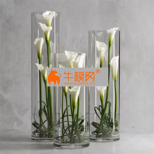 Calla Lily 6 – 1298