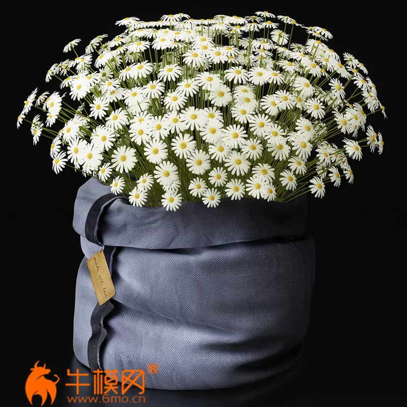 Chamomilewith love – 1376