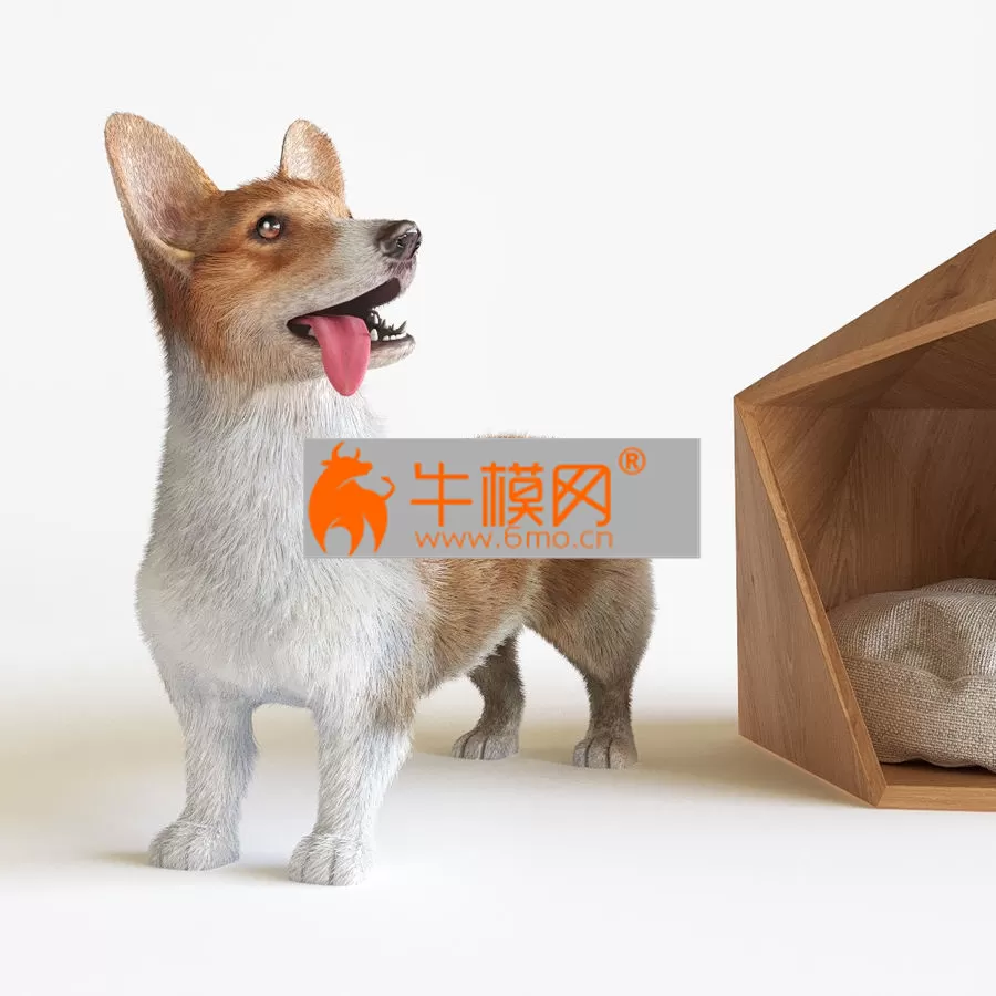 Corgi – 1526 Corgi – 1526