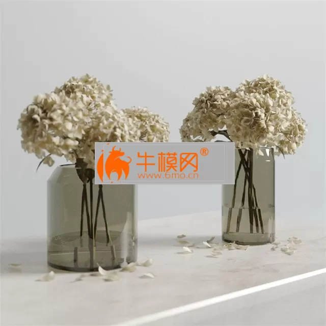 Dried Hydrangeas – 1640