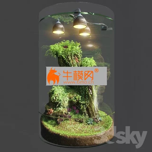 Dwarf Florarium – 1649