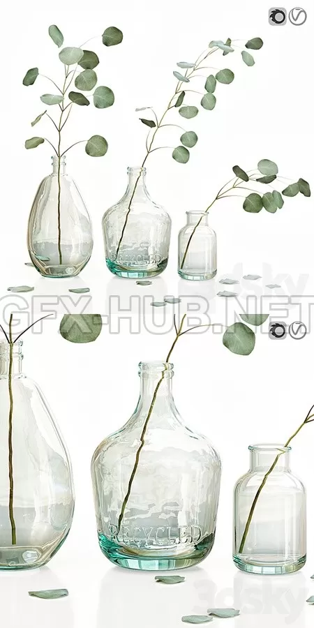 Eucalyptus 2 – 1710