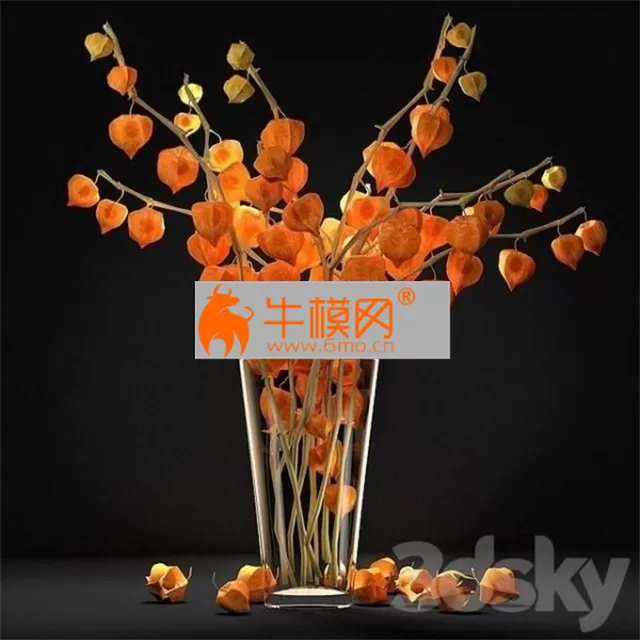 Fizalis 2 – 1776 Fizalis 2 – 1776