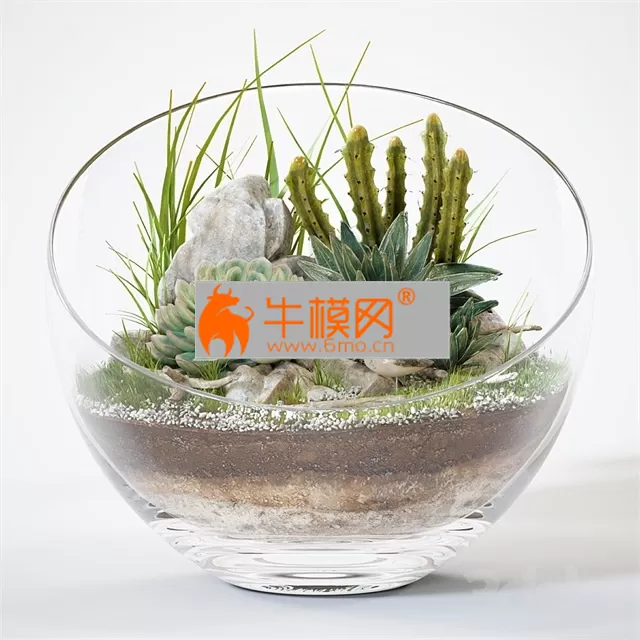 Florarium 15 – 1789 Florarium 15 – 1789