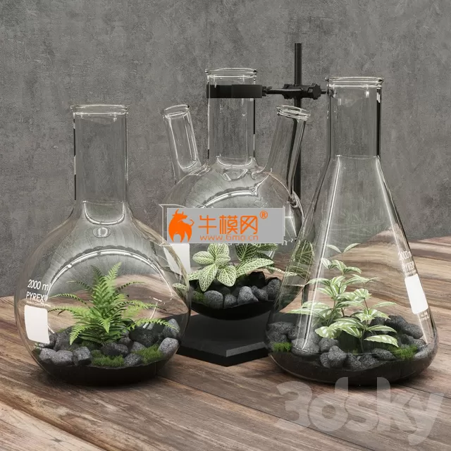 Florariumy flasks – 1790 Florariumy flasks – 1790