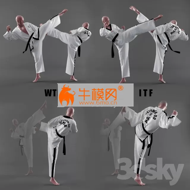 Form of taekwondo – 1808 Form of taekwondo – 1808