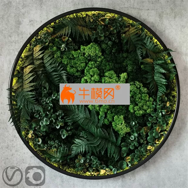 Fytodisk moss – 1827 Fytodisk moss – 1827