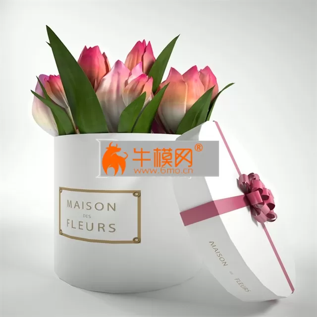 Gift box with tulips on Maison Des Fleurs – 1862 Gift box with tulips on Maison Des Fleurs – 1862