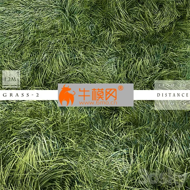 GRASS 2 – 1885 GRASS 2 – 1885
