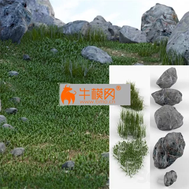 Grass and stones SRG – 1886 Grass and stones SRG – 1886