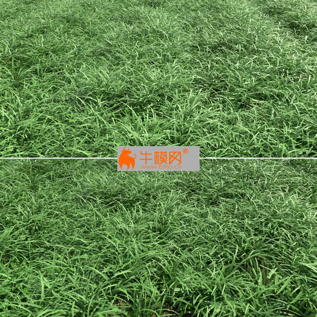 Green lawn – 1889 Green lawn – 1889