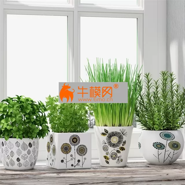 Herbs in pots – 1943 Herbs in pots – 1943