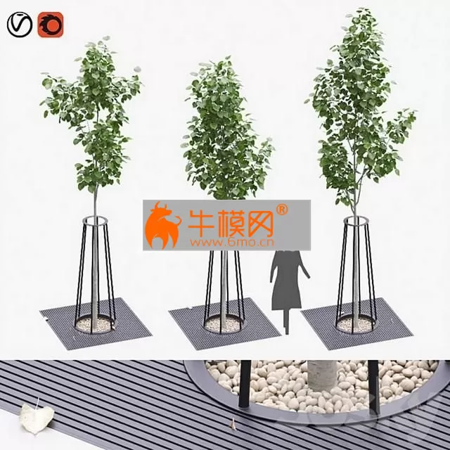 Landscaping kit with American linden 3.9 E 4.5m – 2120 Landscaping kit with American linden 3.9 E 4.5m – 2120