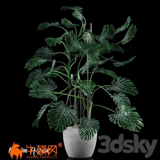 Monstera Big (max 2011, fbx) – 2353