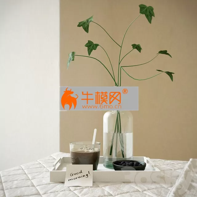 Morning set – 2361