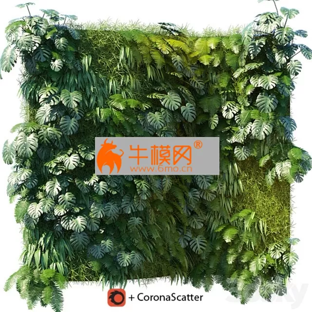 Phytowall 1 – 2491