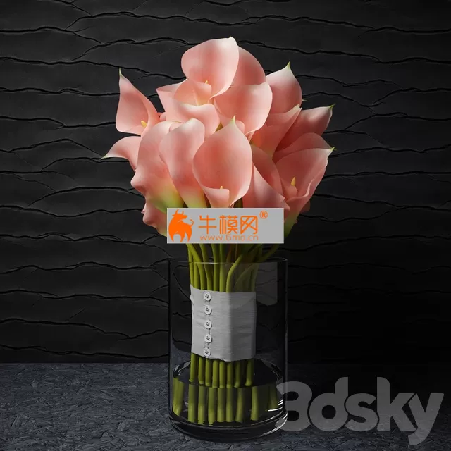 Pink callas – 2508