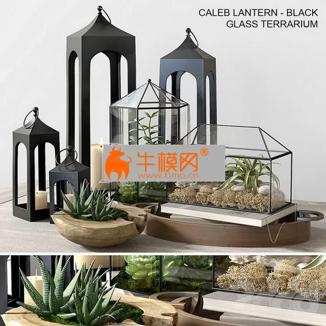 Pottery barn GLASS TERRARIUM – 2560