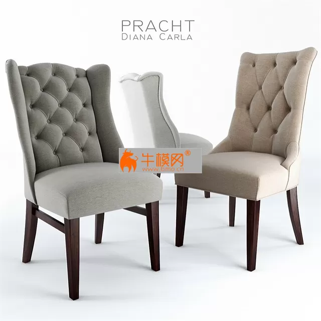 Pracht Diana and Carla – 2582