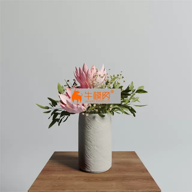 Protea Set With Baby Breaths – 2587