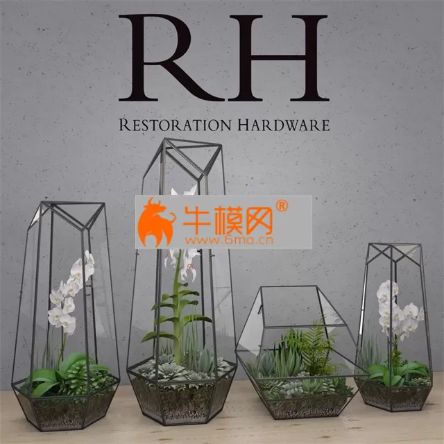 RH FACETED GLASS TERRARIUM – 2653