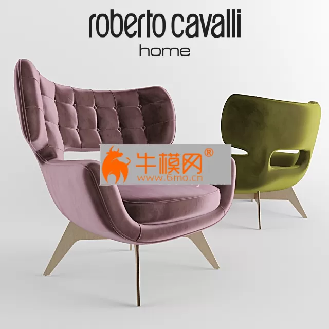 ROBERTOCAVALLIMaclaine – 2676