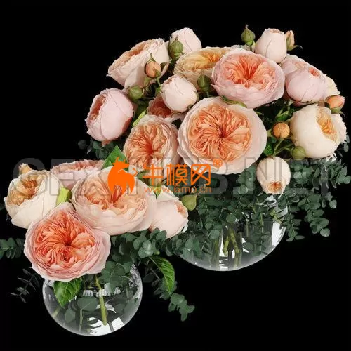 Rosa Juliet – 2696