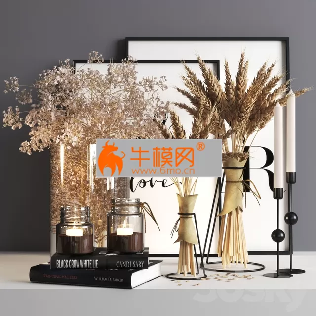 Set300 wheats – 2823 Set300 wheats – 2823