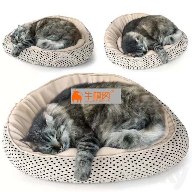 Sleeping cat – 2880 Sleeping cat – 2880