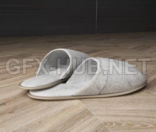 Slippers (max) – 2883 Slippers (max) – 2883