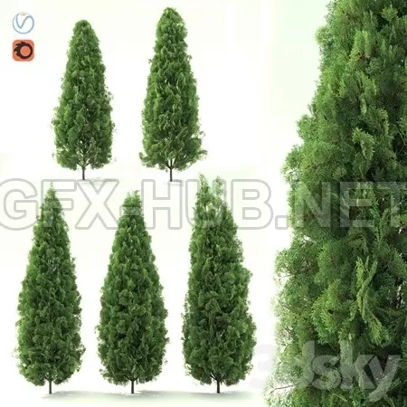 Touya Smaragd – 3021