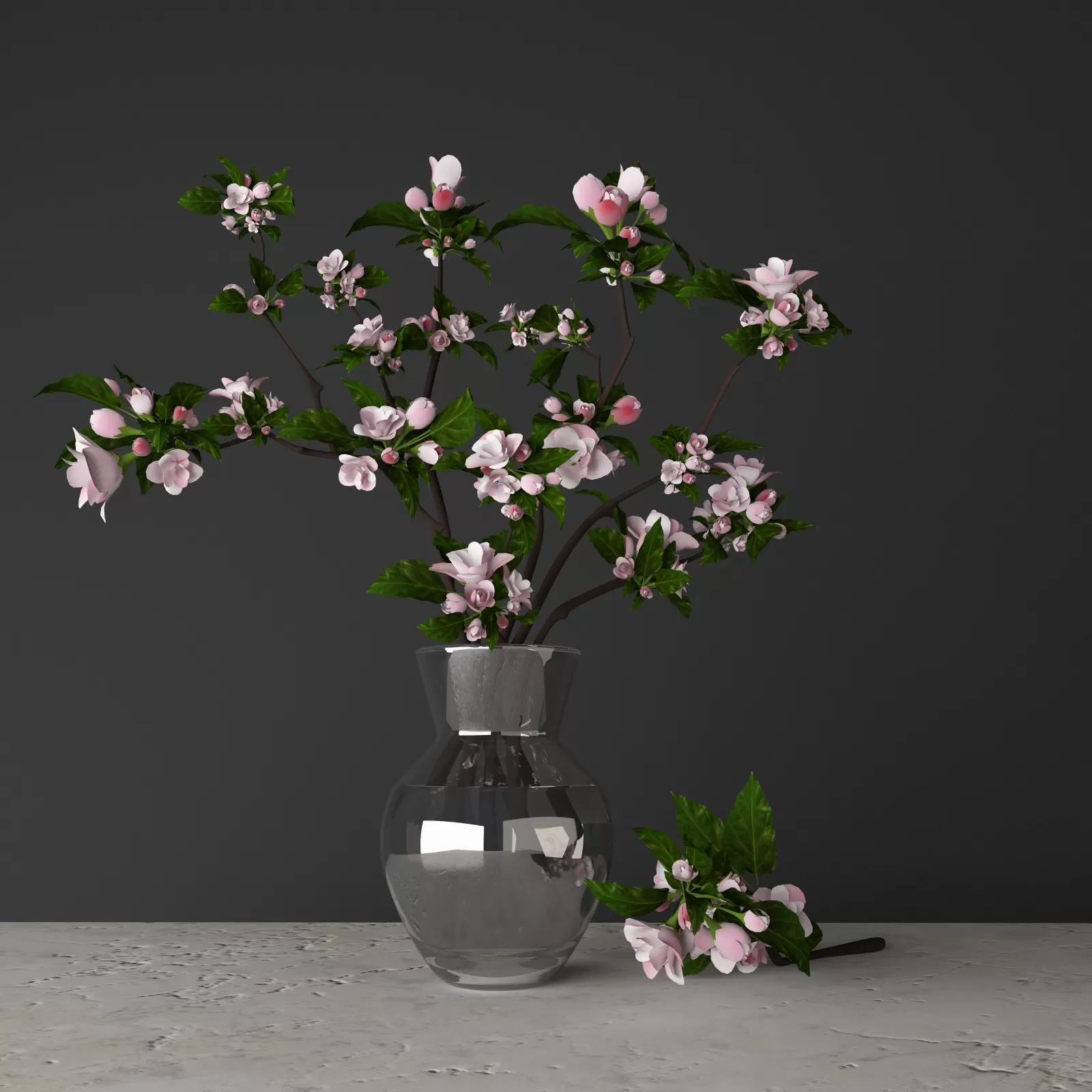 Tsyvety Apple – 3037