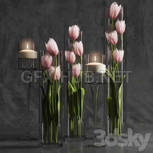 Tulips 2 – 3038