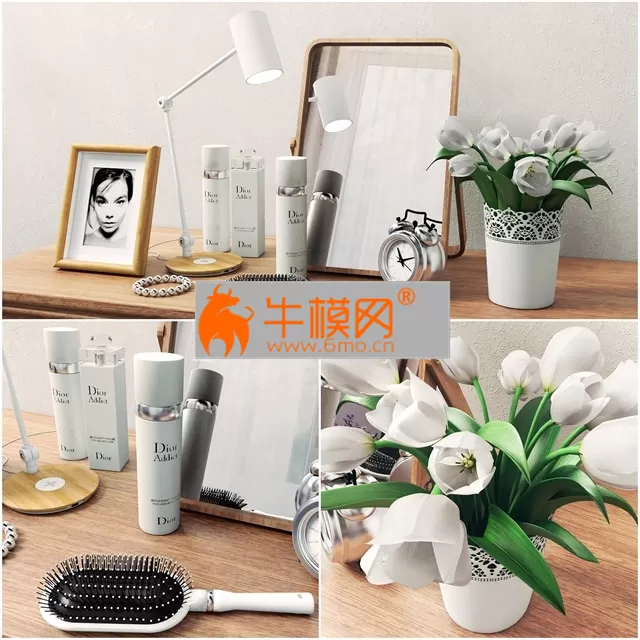 Cosmetics and bathroom decor – 3562