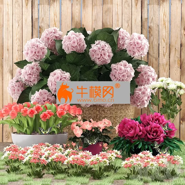 Flower beds – 3730