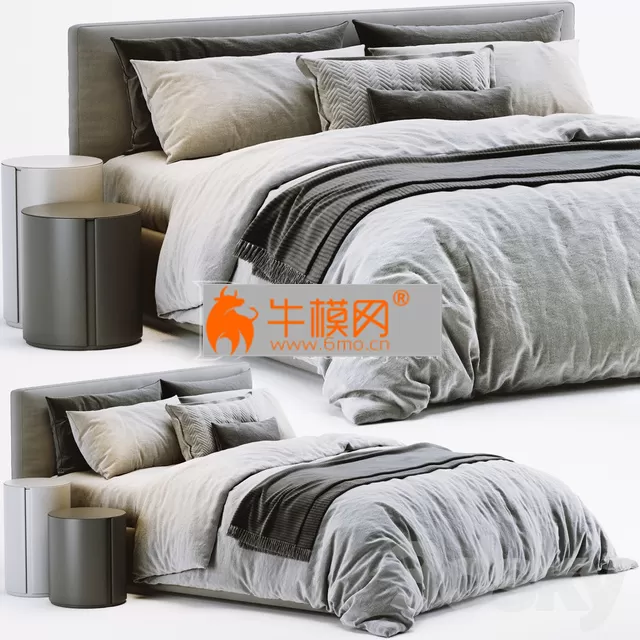 Meridiani Stone Bed – 3761