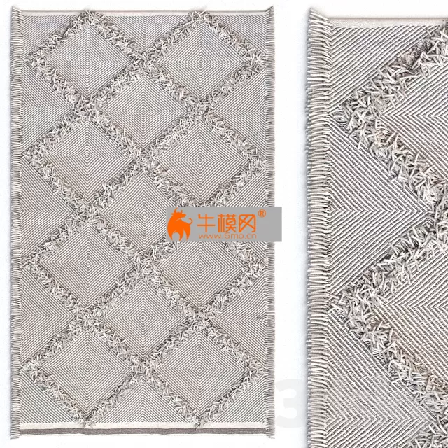 CarpetNuLOOMDevonDiamondTrellisTasselShagRug – 3894