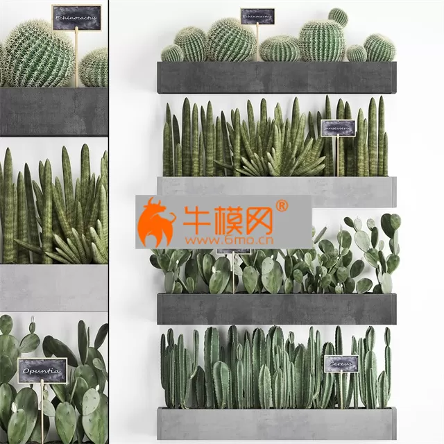 Cactus set wall decor vertical garden 43 – 4593 Cactus set wall decor vertical garden 43 – 4593