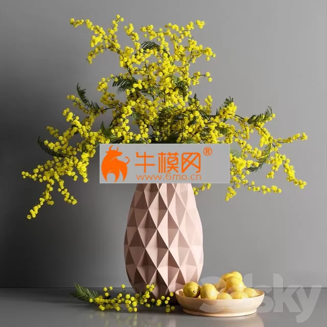 Decorative Mimosa Lemon – 4655 Decorative Mimosa Lemon – 4655