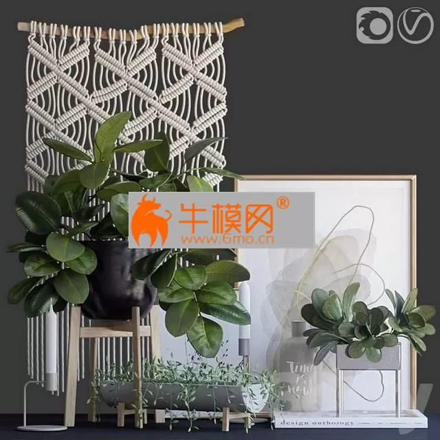 Decorative set 16 Ficus – 4705 Decorative set 16 Ficus – 4705