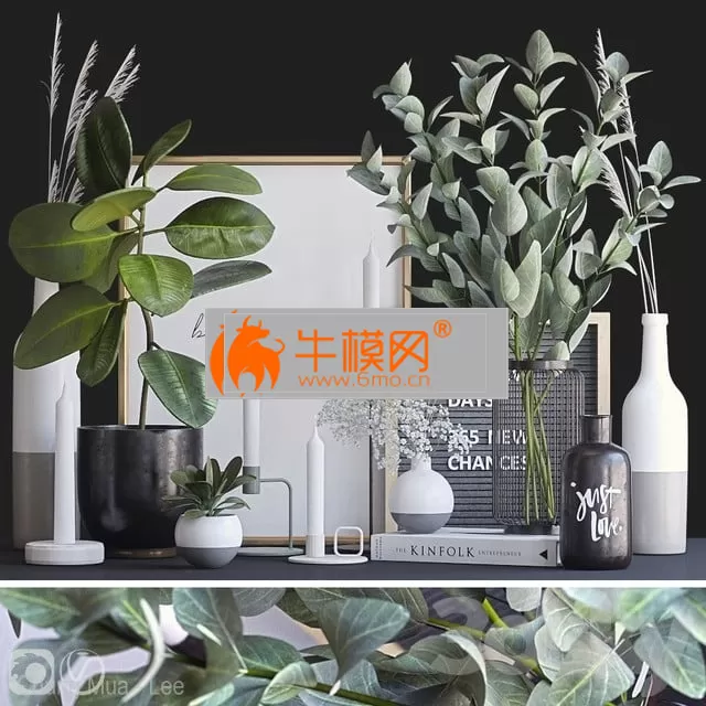 Decorative set with ficus and eucalyptus – 4746 Decorative set with ficus and eucalyptus – 4746