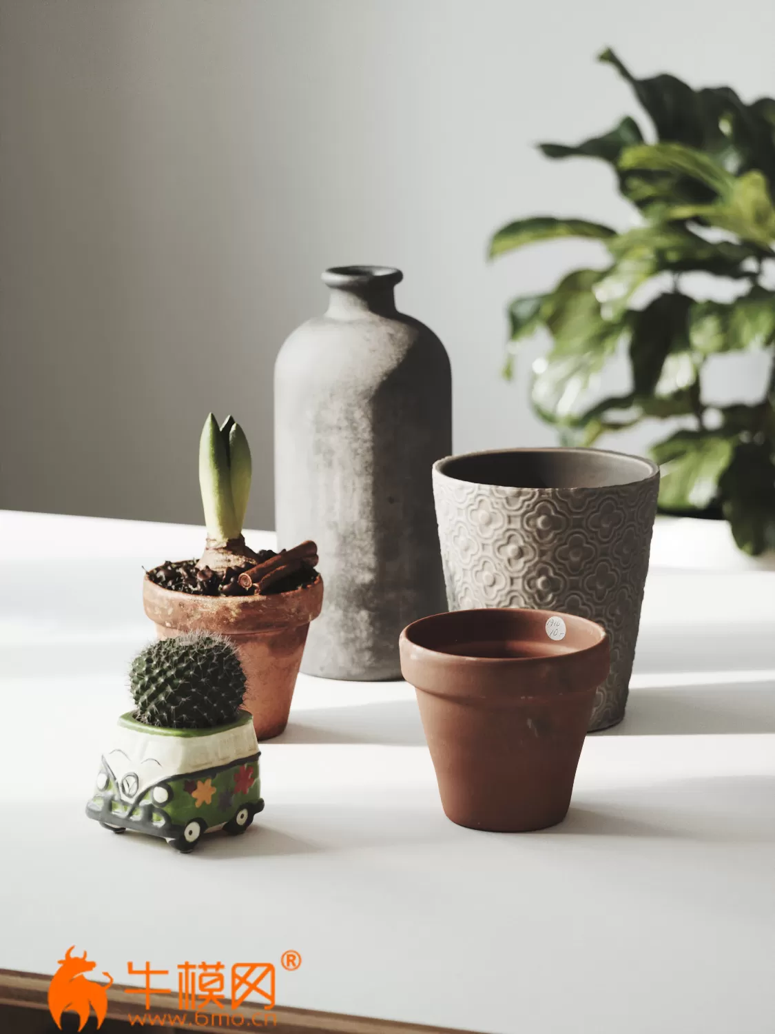 Photogrammetry Decorative Set – 4824