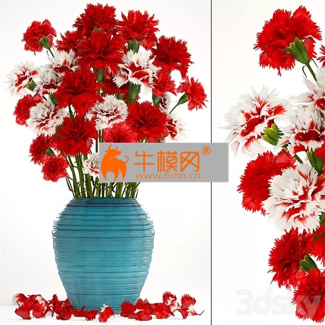 Collection of flowers 13. Carnation – 4967