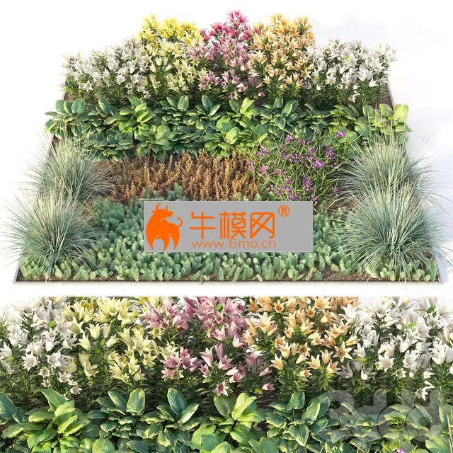 Flower garden 3 – 4976