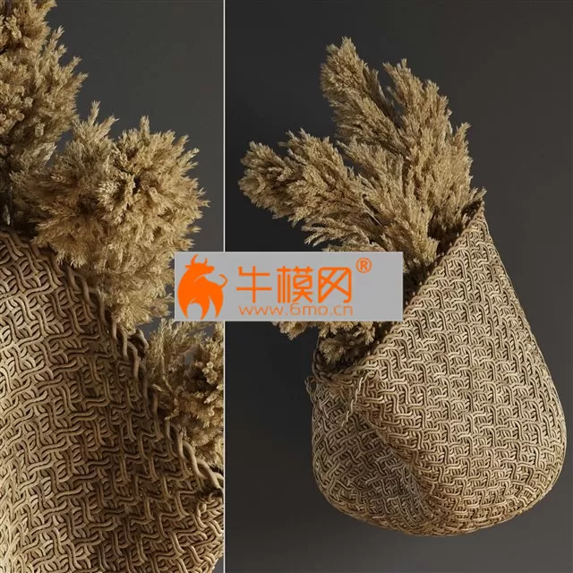 Pampas flower in hand basket – 4997