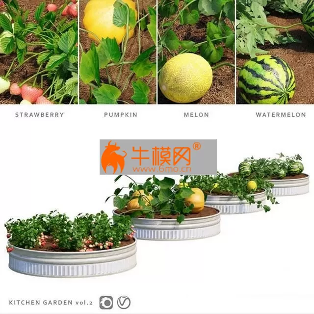 Garden Kitchen garden.vol 2 – 5082